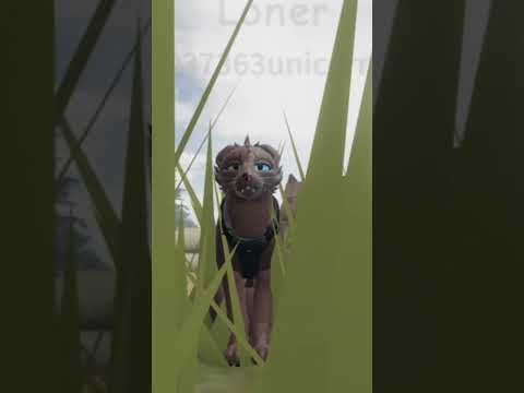 #roblox#todandcooper#imafox#idrk