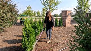 Planting the Living Wall in the Entryway Garden & Peach Strudel with Our Homegrown Peaches! 🌲🍑😋