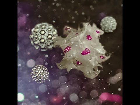 CINEMA4D TUTORIAL for BEGINNERS with X-Particles 3.5 & Dual Graph