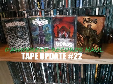 Dawnbreed Records Haul | Tape Update #22