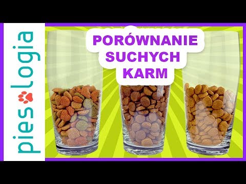 download lagu mp3 mp4 Karma Bosch, download lagu Karma Bosch gratis, unduh video klip Karma Bosch