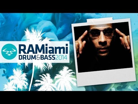 Dynamite MC & Origin Unknown - Hotness (Roni Size Remix)