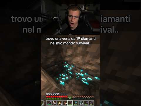 LA VENA PIÙ GRANDE DI MINECRAFT..?