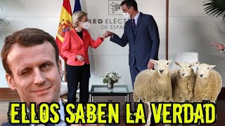 Los políticos pastorean al ganado para q no se desmadre pero saben perfectamente lo q pasa. Y tu?