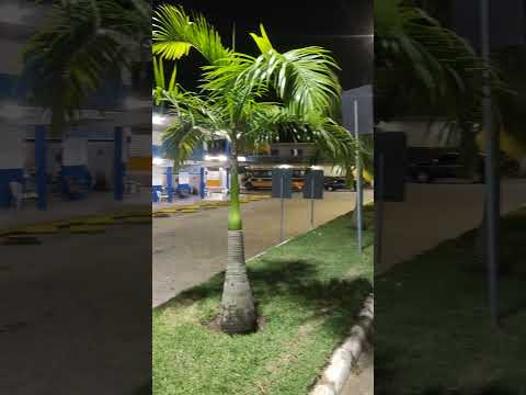 Rodoviária de Belém PB