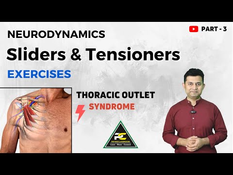 Conceptual Framework of Neurodynamics Treatment Approach The 3 Part System