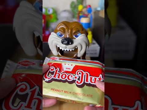 🌈Chocnut for Mad Dog🐕🥰🌈#shorts #viral #asmr