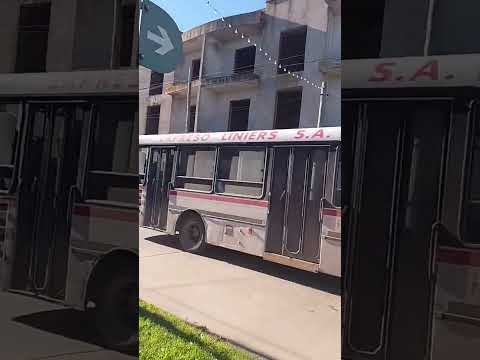 El 5 de la lobera llegando a cañuelas desde lobos #linea88 #bondis #viral #tbt #ugarte #lobos #88