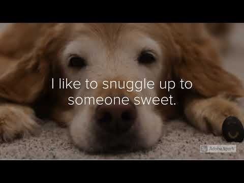 Ishi Life Advice from Enrichment Students