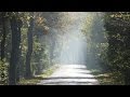 Frédéric Chopin - Prélude Op. 28 No 15 - "Raindrop ...
