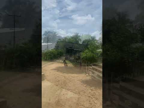 Corregimiento de Berlín San Onofre Sucre #colombia