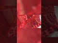 SEQUENCE DESIGNER SAREE Saree Lover Saree Vlog Saree Fashion Saree Lover Hot Sarees