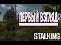 Stalking-#1 Первый Взгляд 