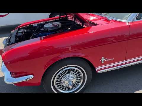 1966 Ford Mustang (CC-1622449) for sale in Greenville, North Carolina