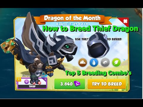How to Breed Thief Dragon-Dragon Mania Legends | Top 5 Breeding Combination Thief Dragon | DML