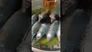 Download lagu Jom buat ikan rebus di rumah #ikanrebus #ikanrebusgoreng #cooking #masakdirumah #masakapahariini mp3 Download lagu Jom buat ikan rebus di rumah #ikanrebus #ikanrebusgoreng #cooking #masakdirumah #masakapahariini mp3