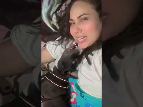 But what happened here?