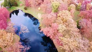 Elgin Illinois lords park at peak color