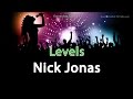 Nick Jonas 'Levels' Instrumental Karaoke Version ...