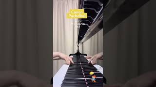 Download lagu Canon Pachelbel 🎏 カノン パッヘルベル no.1 mp3