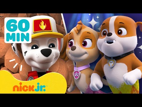Capa de Patrulha Canina | Resgates em Terra e Mar da Patrulha Canina! c/ Zuma, Chase e Tracker | Nick Jr.