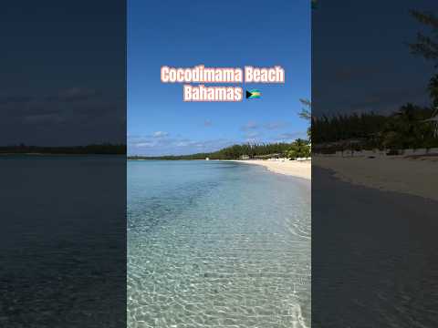 Eleuthera Bahamas CoCodimama Beach