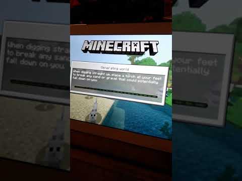 Zayn testing new Minecraft world 23.12.18