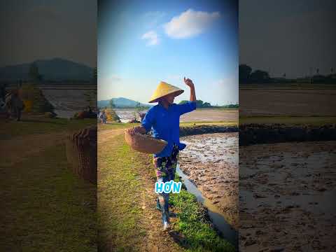 Cô ấy bật chiếc MACBook 25 năm… Và rồi điều này xảy ra 😱💻