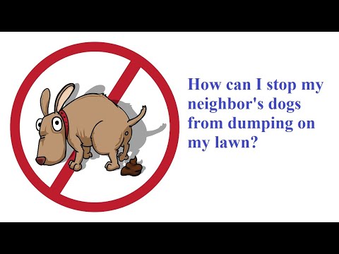 Ask Amy: How Can I Stop My Neighbor Dogs Pooping In My Yard?