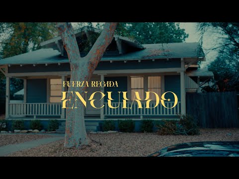 Enculado - Fuerza Regida
