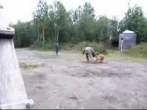 briard Monika - training