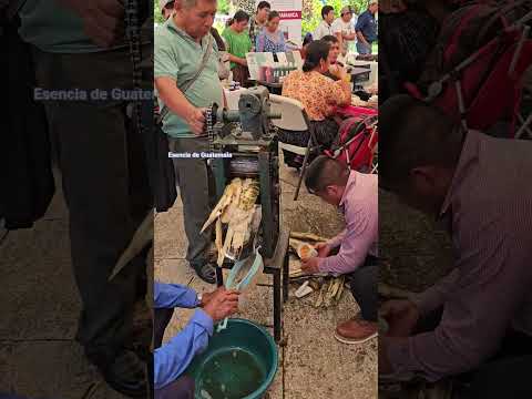 El rico jugo de Caña #coban #altaverapaz #tradiciones