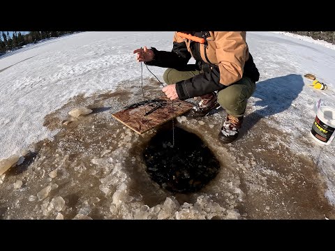 Minnow Trapping - First Ice Fishing - Thanksgiving Week - Gunflint Trail Winter Update #3
