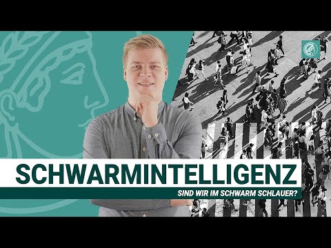 Treffen Gruppen bessere Entscheidungen? | Schwarmintelligenz | Wissen Was mit Doktor Whatson