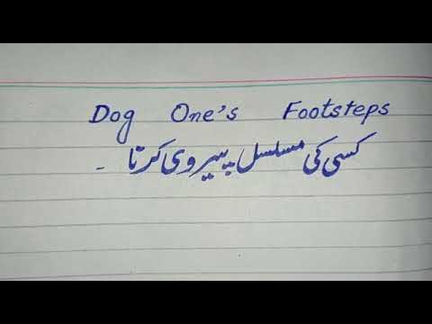 Dog one's  footsteps