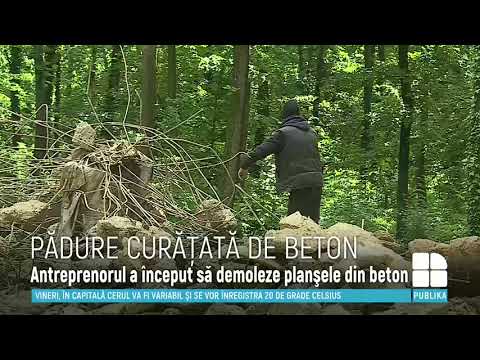 The contractor who poured concrete in the middle of Durleşti Forest in 2016 has started demolition.
