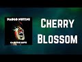 Paolo Nutini - Cherry Blossom (Lyrics)