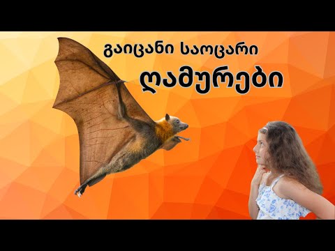 გაიცანით საოცარი ღამურები