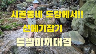 시골동네 도랑에서 통발로 산메기잡기 미끼대결!!!  메기통발낚시미끼추천