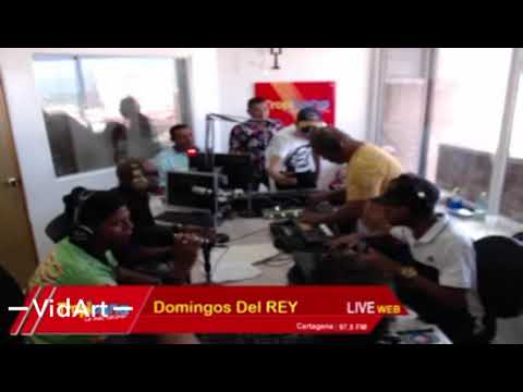 El ZiKI ZA Samy Ray Semioriginal OMR