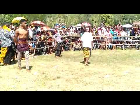 Tinju adat nataia Nagekeo aesesa tahun 2020...putra nataia