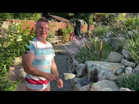 Zoli beültette a szikla repedéseket. Sziklakert.