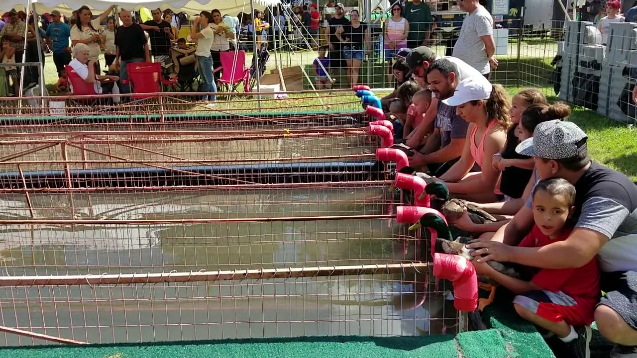 2018 Deming Duck Races