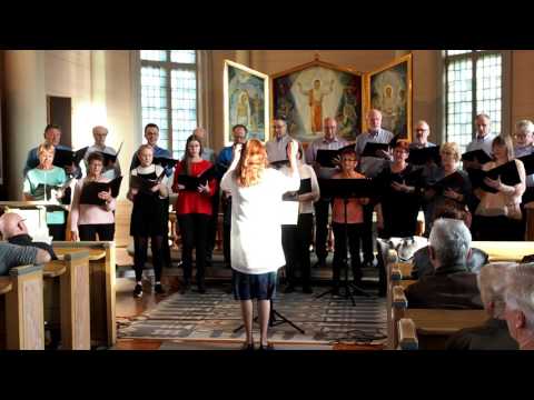 Umeå Kammarkör - Länge leve livet