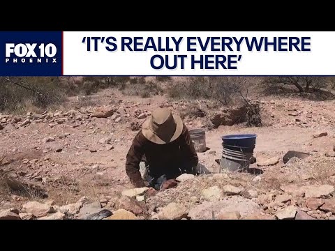 Let's go on a hunt for gold in Arizona | FOX 10 Phoenix