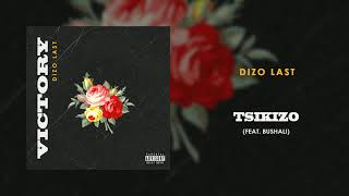 Dizo Last - Tsikizo ft. Bushali (Audio)