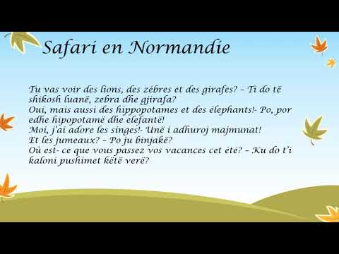 SIMPLE CONVERSATION IN FRENCH- SIMPLE CONVERSATION EN FRANÇAIS- BISEDË NË FRËNGJISHT( NJË EKSPEDITĒ)