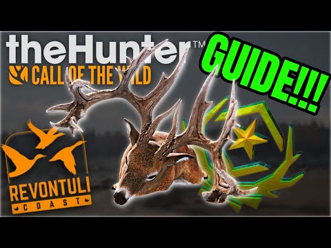 How to DOMINATE the Whitetail Grind on Revontuli Coast (Step-by-Step Guide)