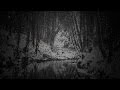 Endemise - Nocturne (OFFICAL VIDEO) 