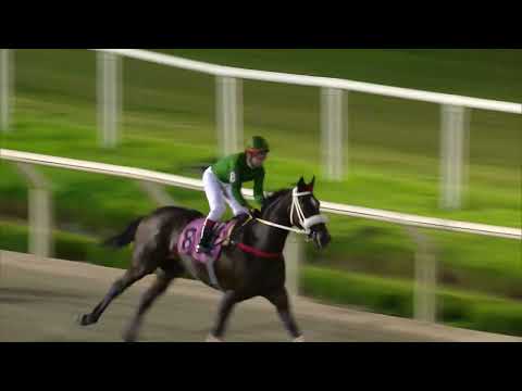 230324 c06 WONDERFUL DAY